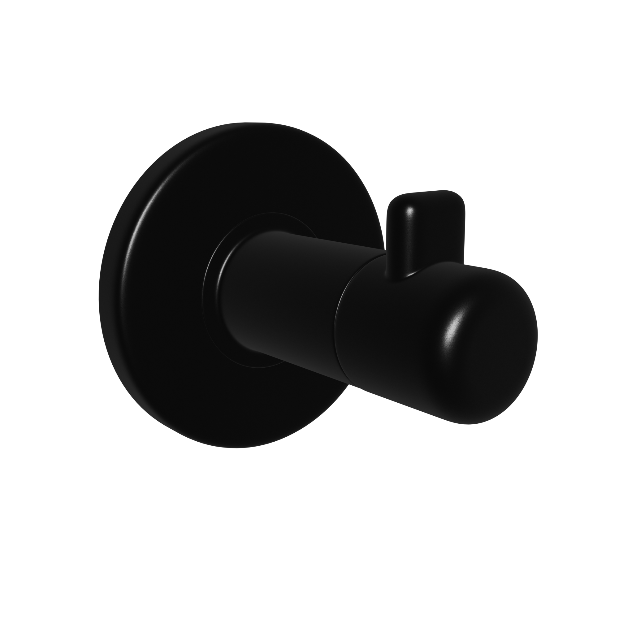 Robe Hook