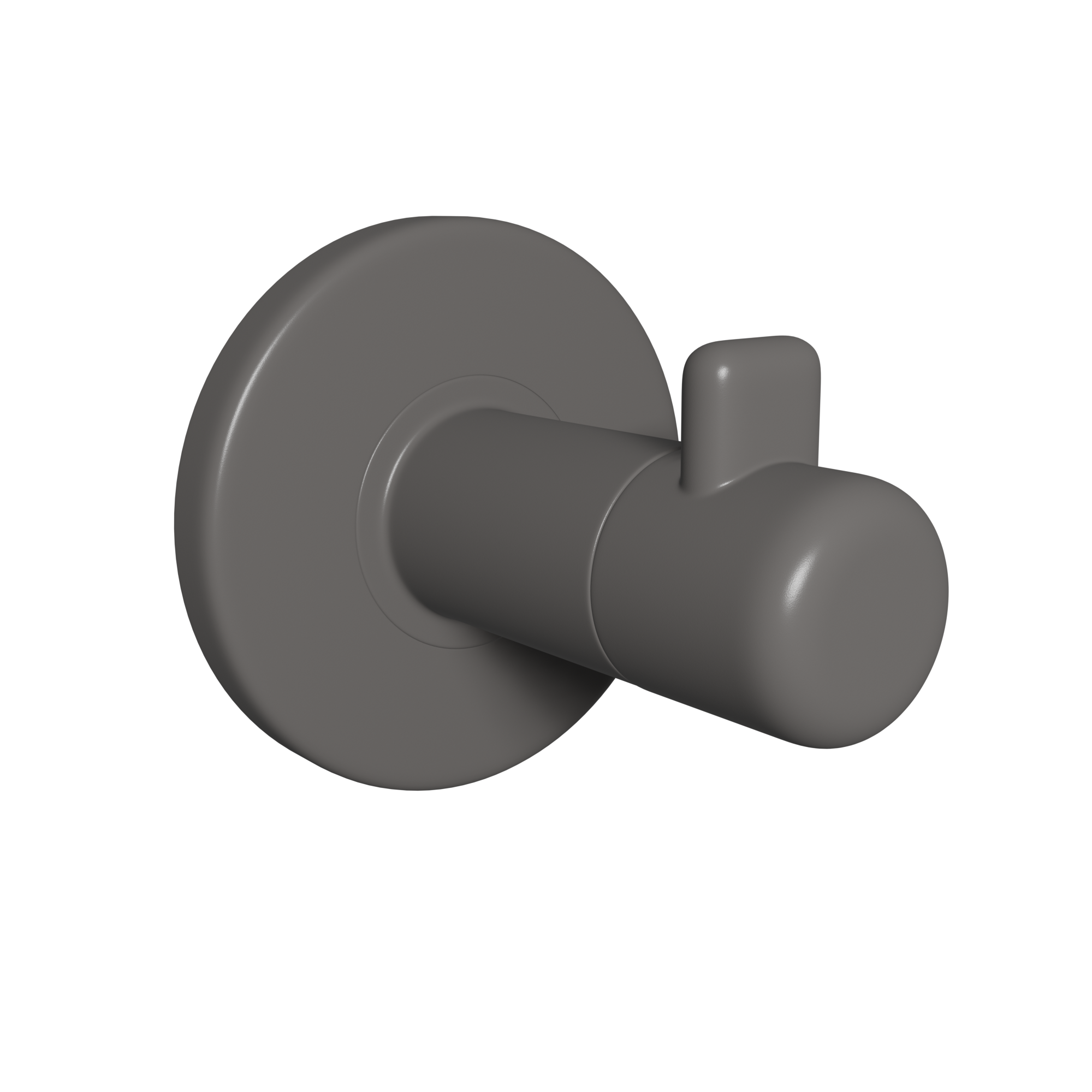 Robe Hook
