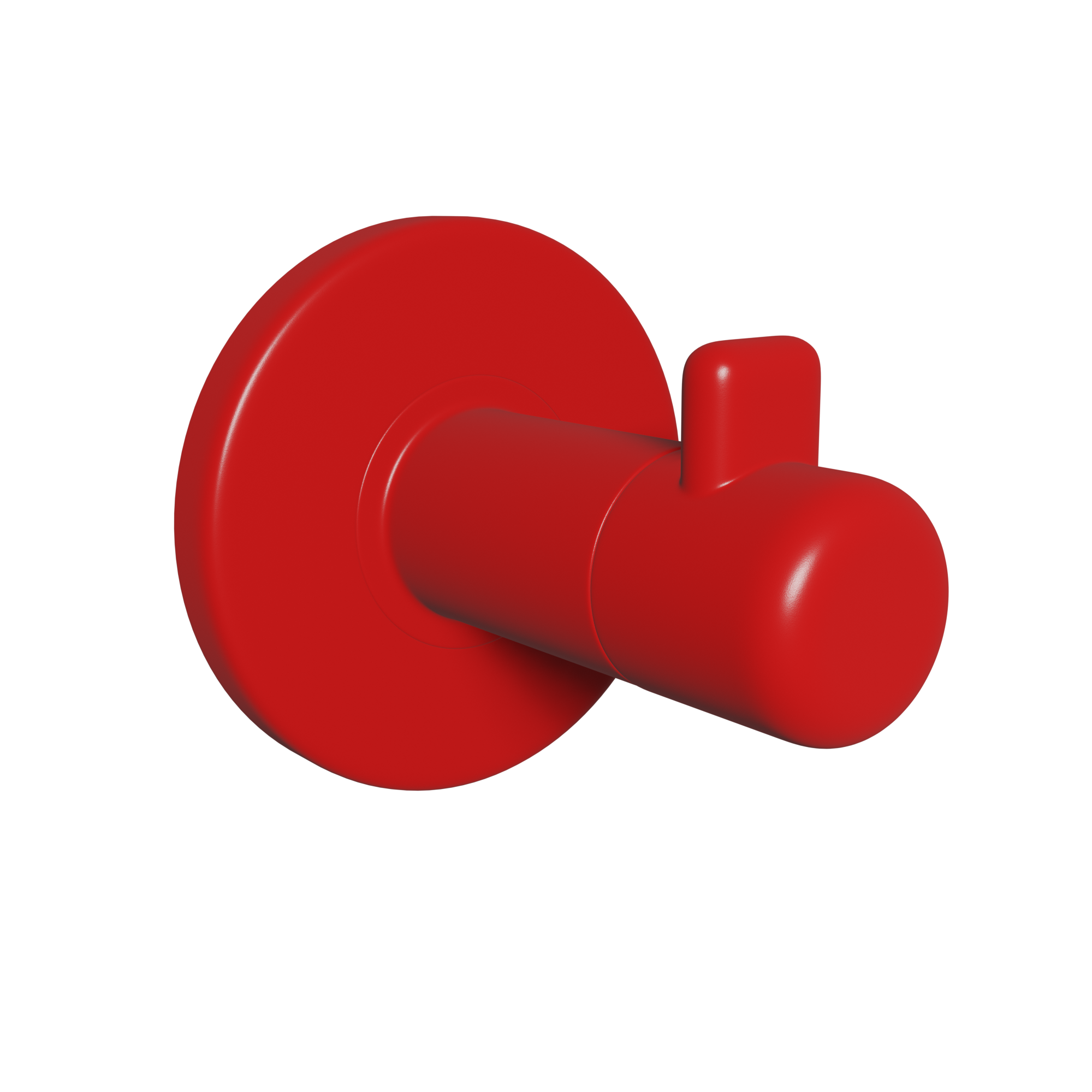Robe Hook