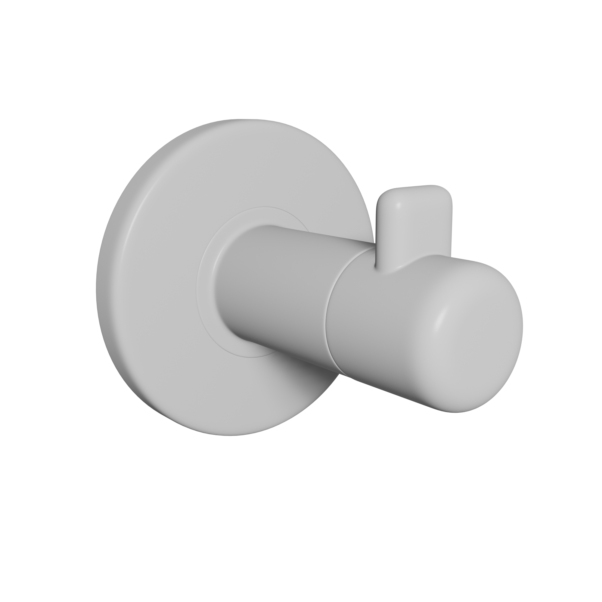 Robe Hook